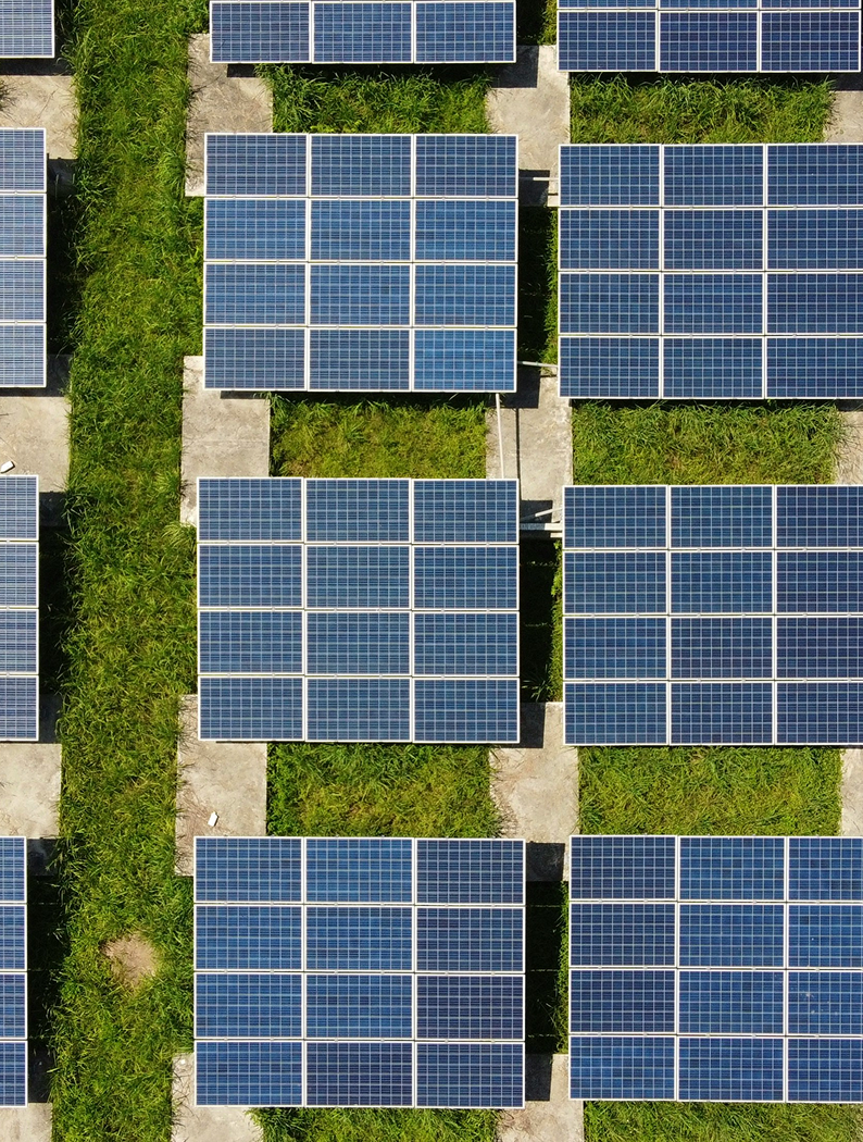 impact-and-commitments-0-1